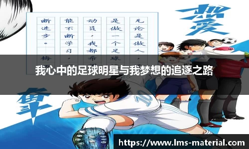 我心中的足球明星与我梦想的追逐之路